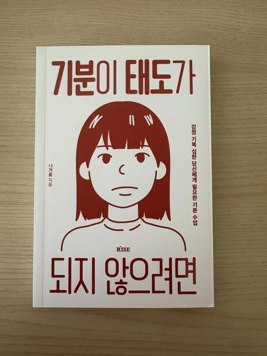 기분이 태도가 되지 않으려면 책